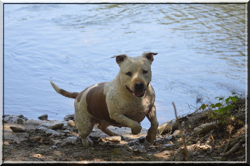 Caillasse (Sans Affixe)